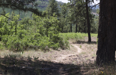 POPs Hike Coming Up! Saturday, August 23
